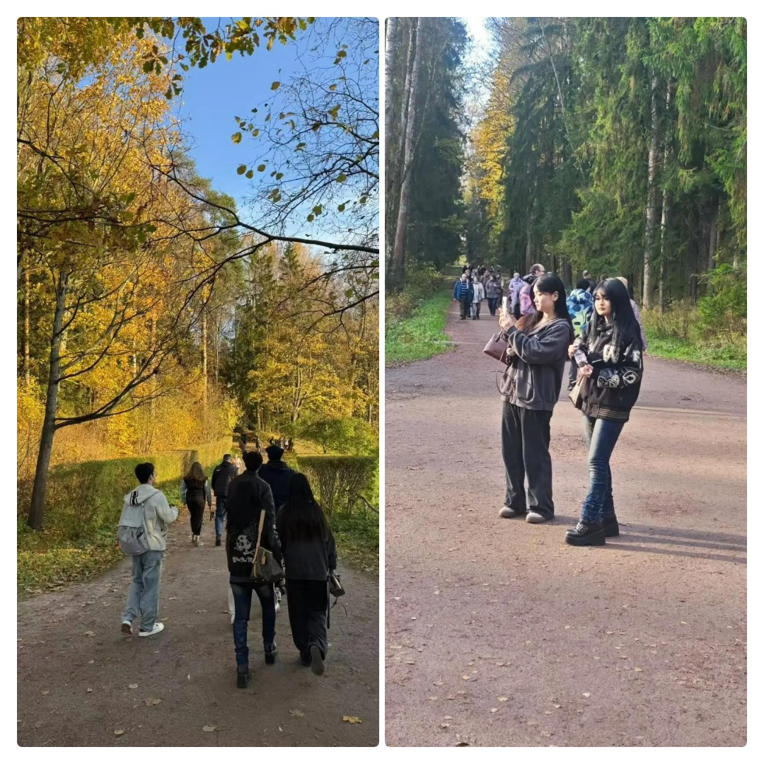 mycollages-2026-10-19_19-05-10.jpg