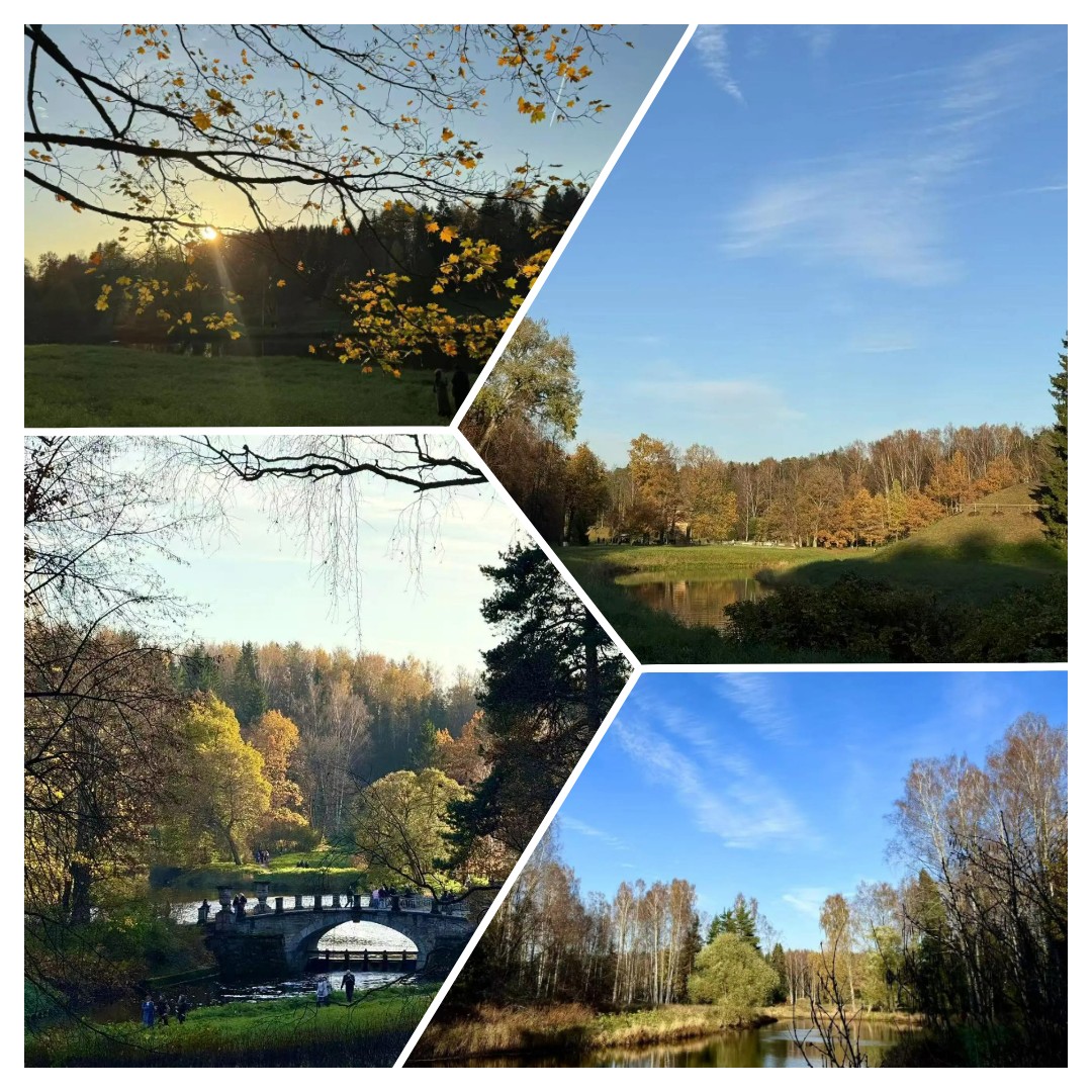 mycollages-2026-10-19_19-06-59.jpg