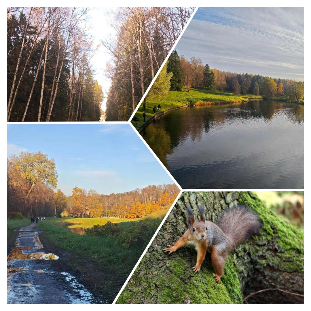 mycollages-2026-10-19_19-08-59.jpg