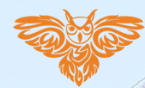 image3.png
