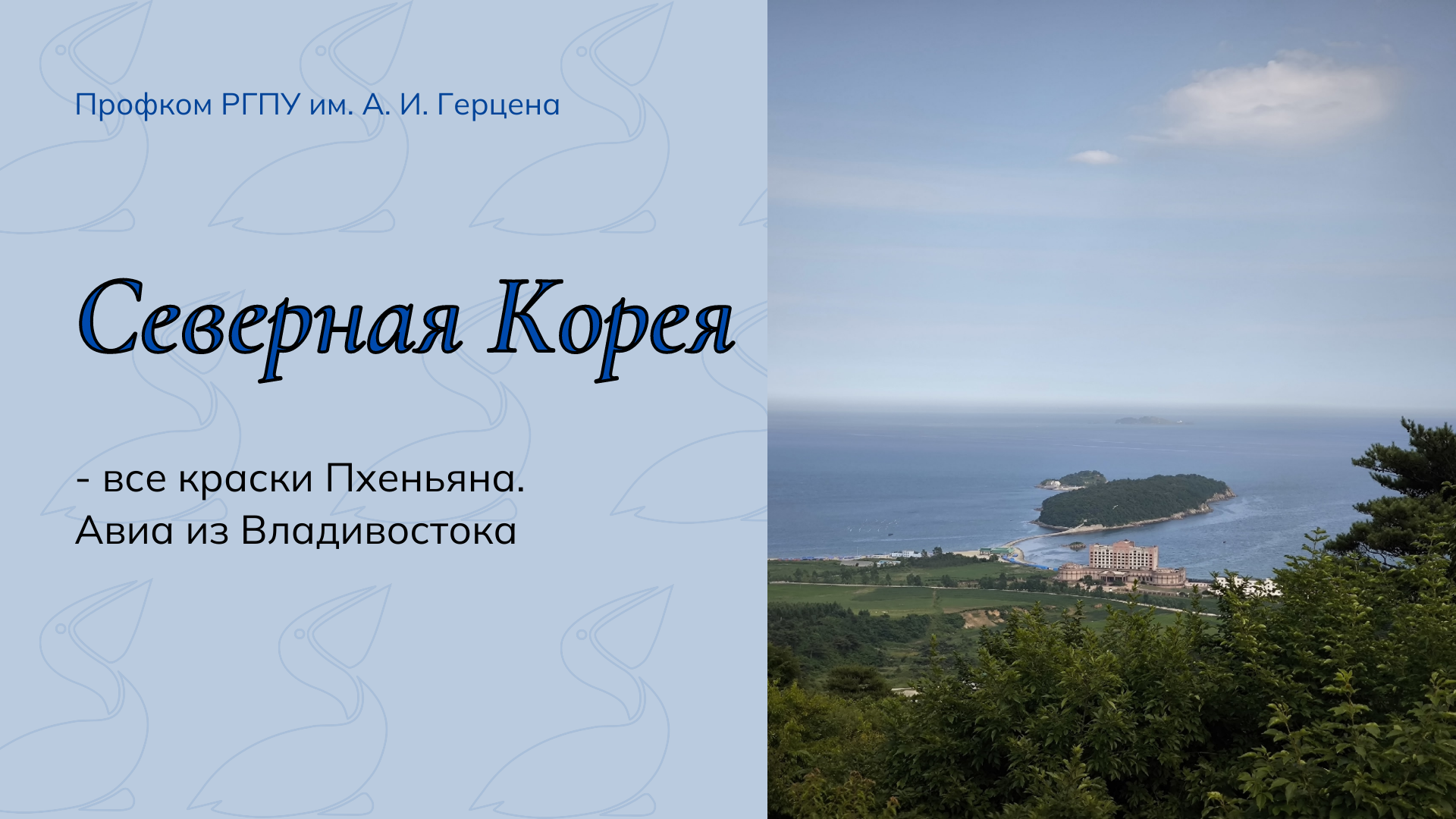 Профком РГПУ им. А. И. Герцена (2).png