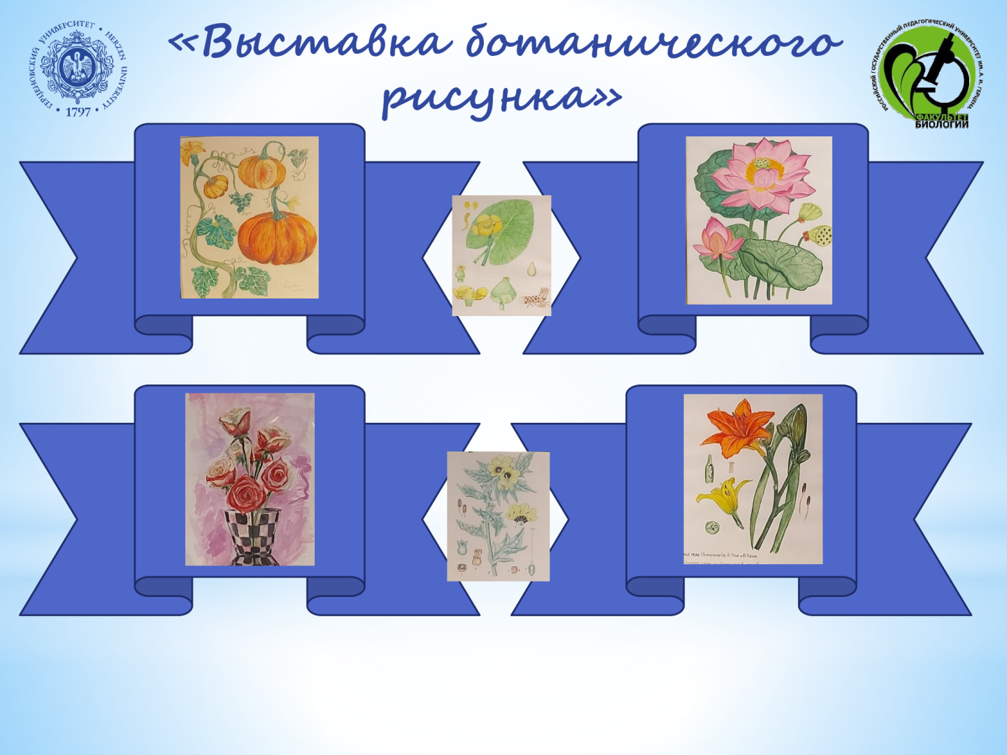 04 марта 2026 года на базе Открытого кампуса Университета открылась выставка работ победителей Международного конкурса ботанической иллюстрации