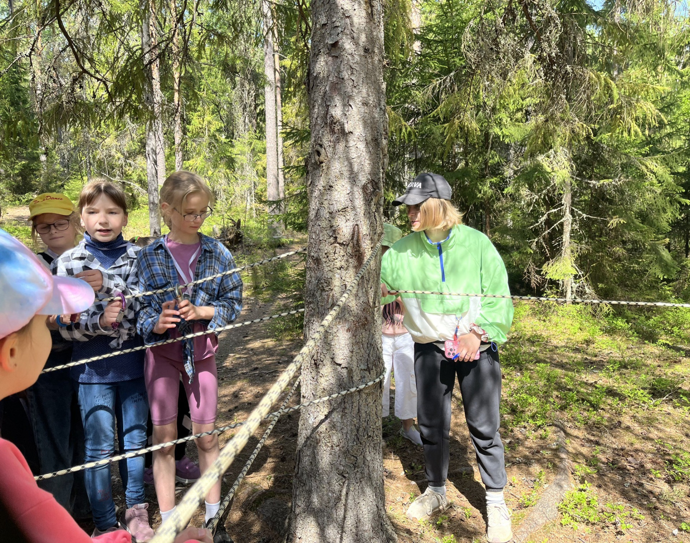 IMG_4323 дерево.jpeg