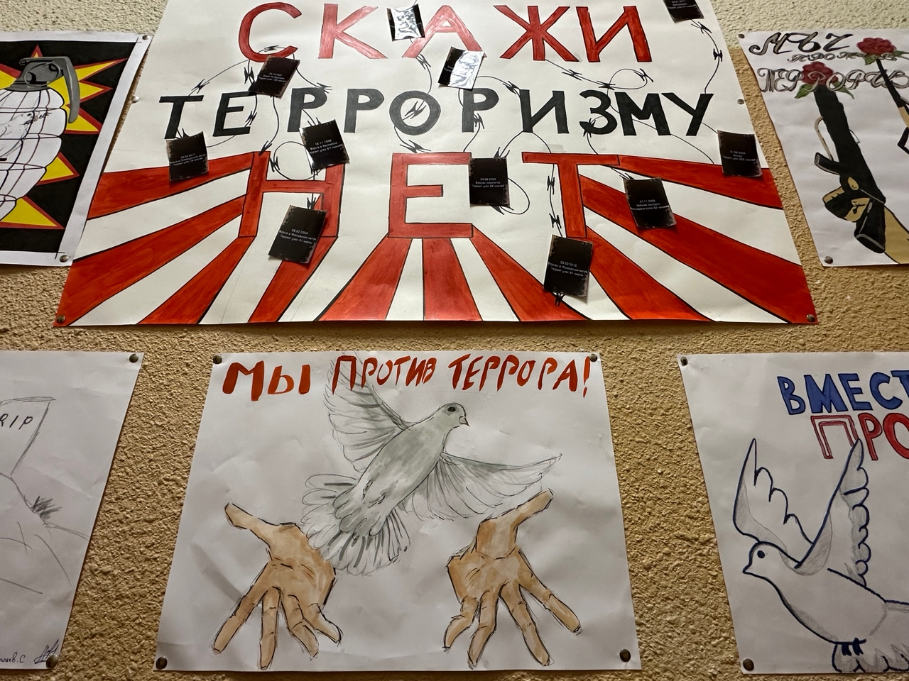 Srf1snZmnGrcC5u307IPxVi8FJPtgmRH1U3za4Se-4EMOpwMgVqVKngi15GWxYtf3Z39t_1-79HQplv67oczjEL-.jpg