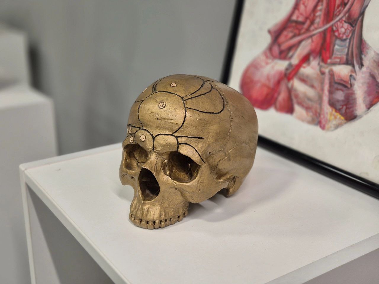 Выставка 3.jpeg