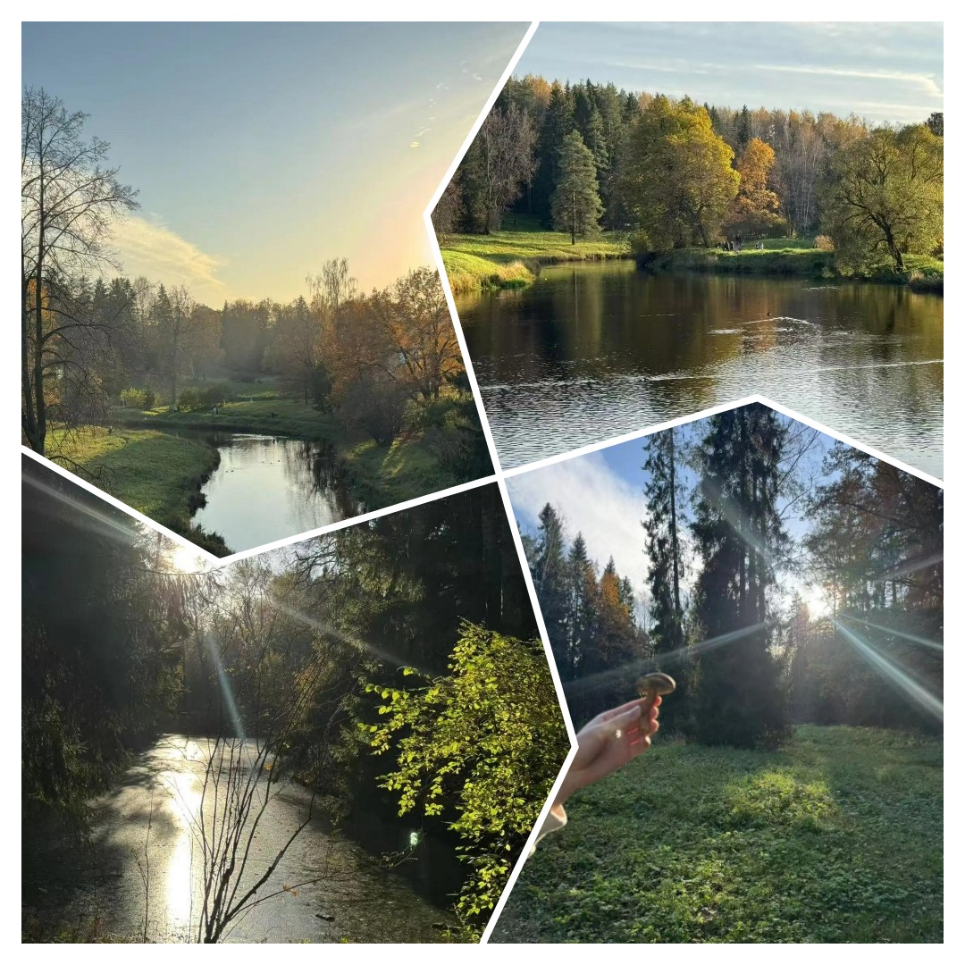mycollages-2026-10-19_19-09-36.jpg
