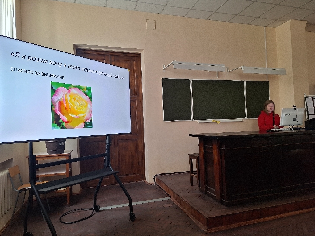 Фестиваль 4.jpg