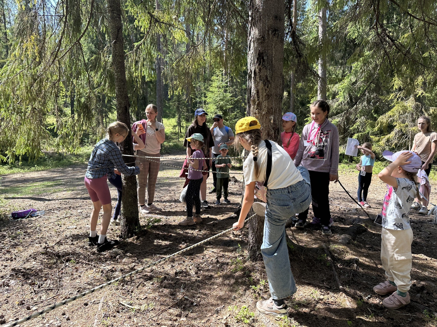 IMG_4169 дерево 2.jpeg