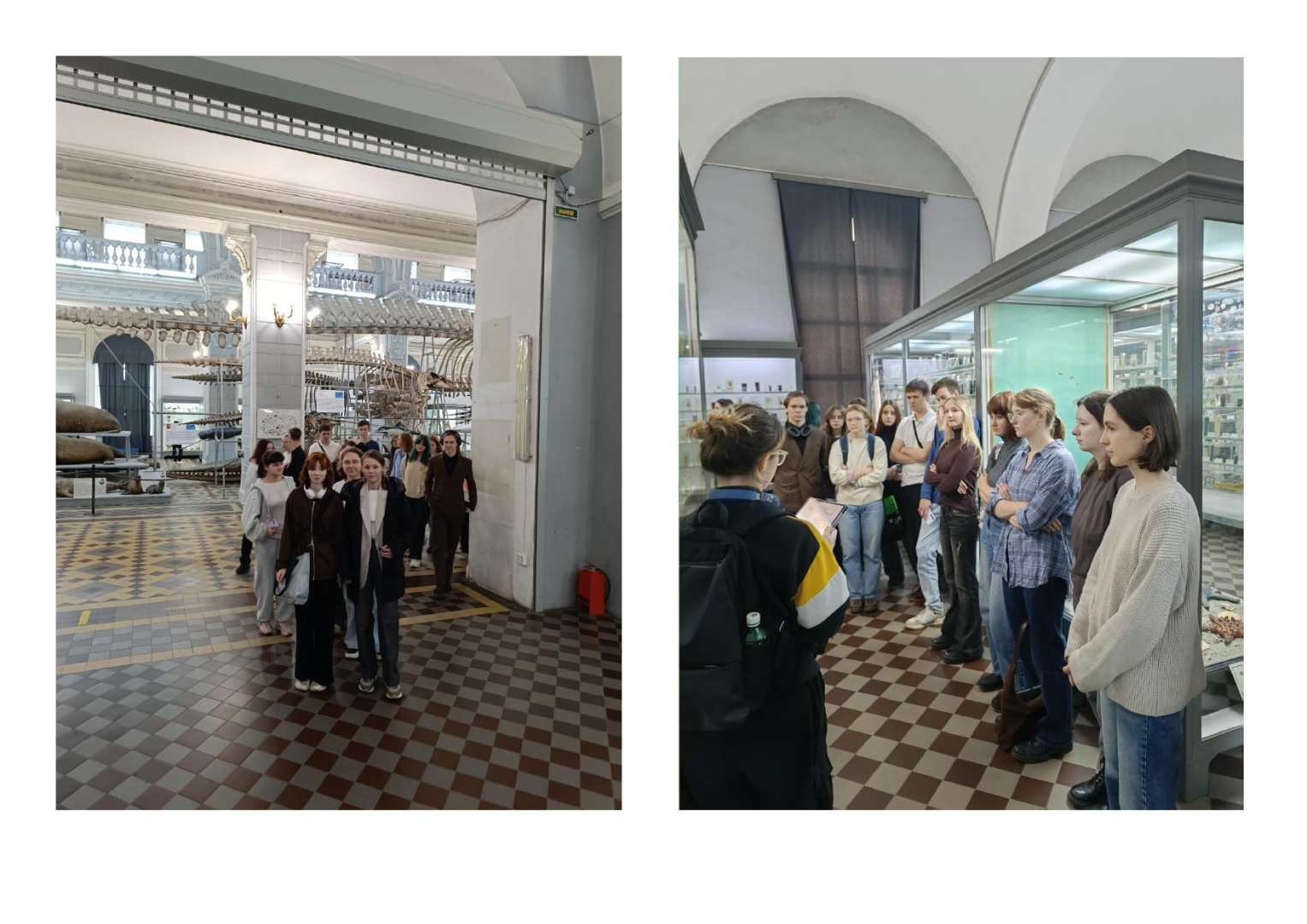 20 октября 2025 года обучающиеся 1 курса факультета биологии посетили Зоологический музей ЗИН РАН
